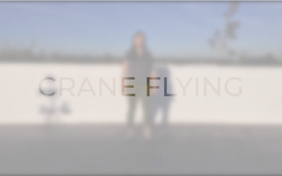 #8 Crane Flying