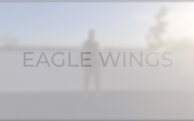 #19 Eagle wings