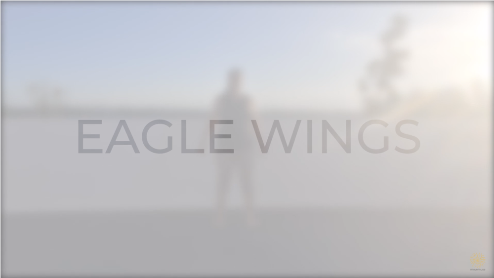 #19 Eagle wings