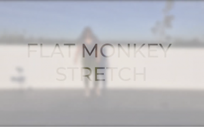 #6 Flat monkey stretch.