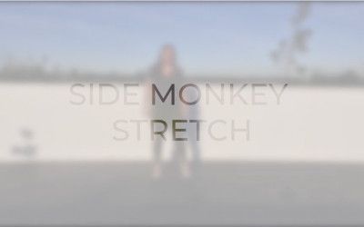#5 Side monkey stretch